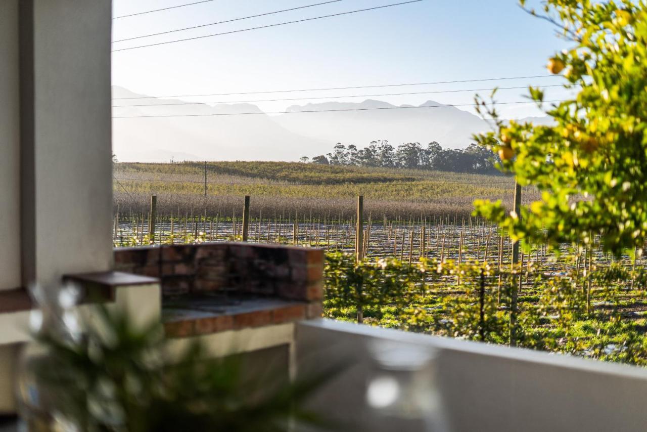 Belfield Wines And Farm Cottages Grabouw Extérieur photo