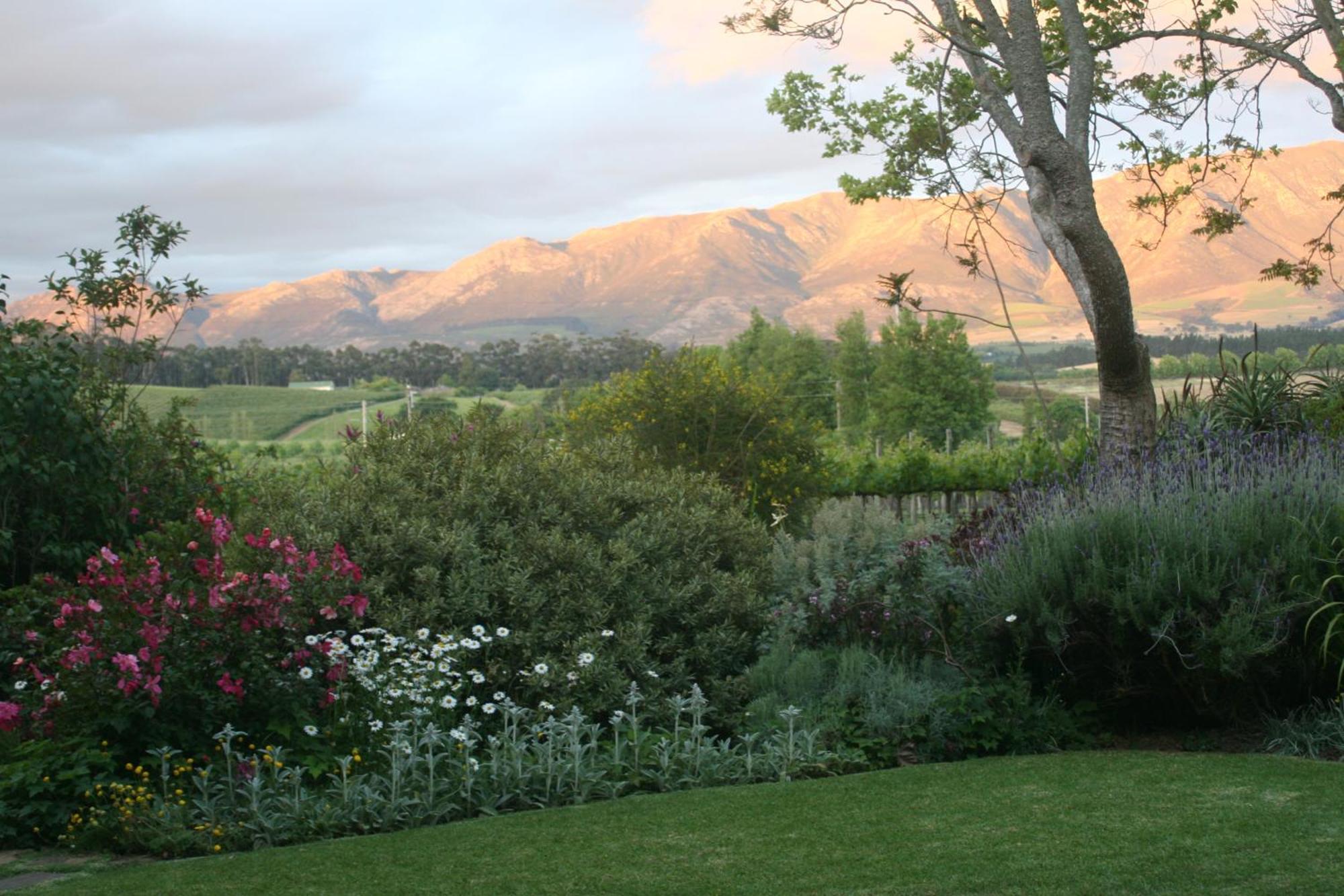 Belfield Wines And Farm Cottages Grabouw Extérieur photo