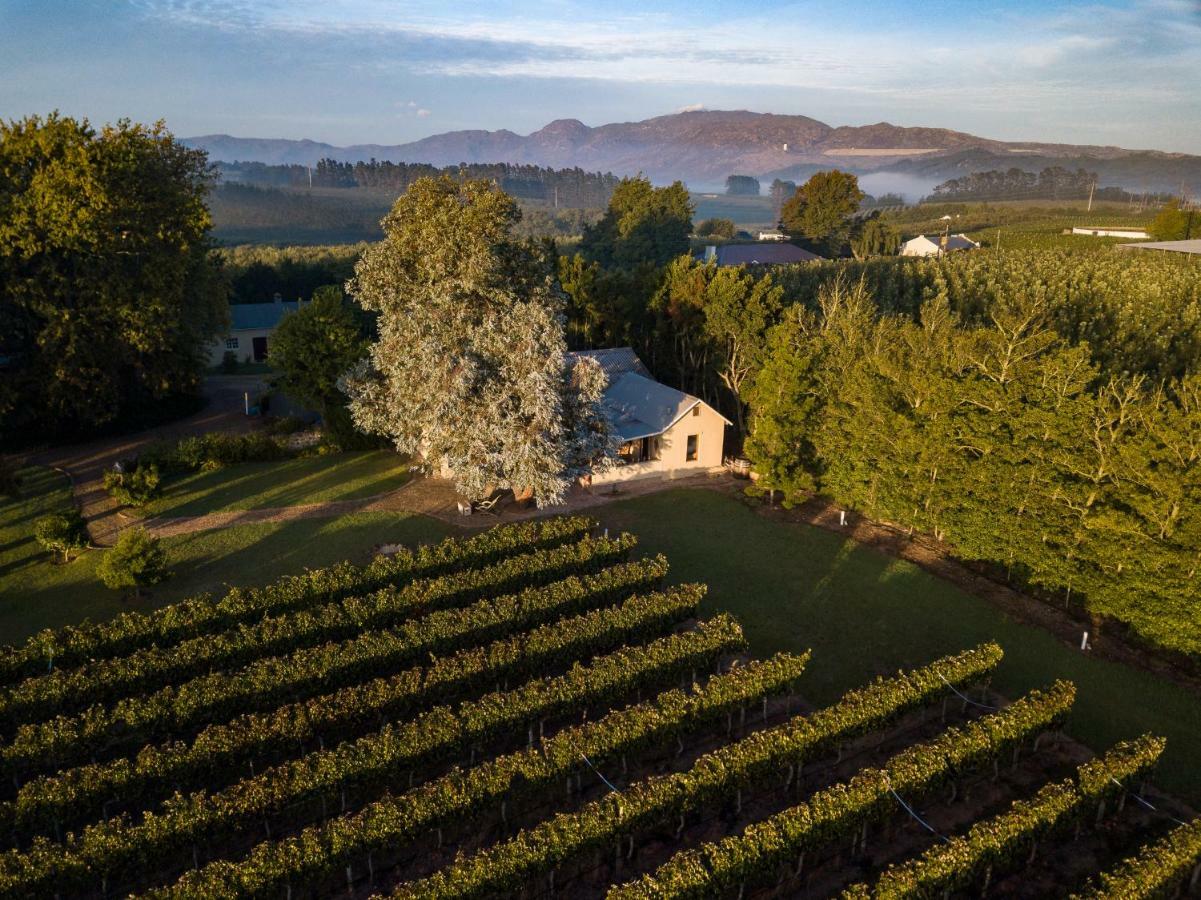 Belfield Wines And Farm Cottages Grabouw Extérieur photo